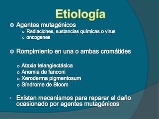 Etiología <br />Agentes mutagénicos<br />Radiaciones, sustancias químicas o virus<br />oncogenes<br />Rompimiento en una o...