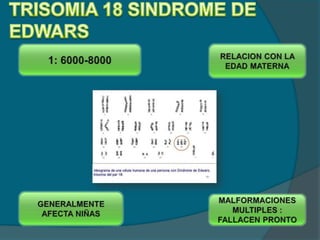 Cromosomas no homólogos</li></li></ul><li>Translocaciones recíprocas <br />Sin efecto fenotípico<br />