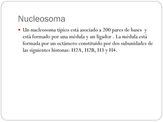 Nucleosoma Un nucleosoma típico está asociado a 200 pares de bases  y está formado por una médula y un ligador . La médula está formada por un octámero constituido por dos subunidades de las siguientes histonas: H2A, H2B, H3 y H4.  