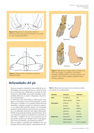 Deformidades del pie
Antes de empezar a describir la enfermedad de las de-
formidades más frecuentes del pie, es necesario hacer
unas consideraciones y diferenciar el concepto de mal-
formación y deformidad, pues ambas dan lugar a enfer-
medades diferentes en cuanto a diagnóstico, el pronós-
tico y el tratamiento.
La diferencia entre deformidad y malformación tiene
lugar en el momento en que se han producido. La mal-
formación se establece en el período embrionario del
desarrollo y comporta siempre una alteración anatómi-
ca. La deformidad presenta siempre una integridad
anatómica (están presentes todos los huesos, los múscu-
los y las diferentes estructuras del órgano deformado).
El fallo se ha producido durante el período fetal y afecta
a la evolución y posterior crecimiento de estructuras ya
formadas y completas. Es por este mecanismo por el
que pueden aparecer, por ejemplo, tanto un pie equino
varo como una tortícolis o una luxación de cadera5,6.
De esta manera se entiende que el pediatra, ante una
patología del pie, debe explorar conjuntamente las dis-
Articulación Movimiento Deformidad
Tobillo Dorsiflexión Talo
Flexión plantar Equino
Subastragalina Inversión Varo
Eversión Valgo
Abducción Abducto
Aducción Aducto
Pronación Pronado
Mediotarsiana Supinación Supinado
Flexión plantar Cavo
Flexión dorsal Pie en mecedora
Tabla 1. Movimientos normales de las articulaciones del pie
y su relación con sus deformidades
An Pediatr Contin. 2006;4(4):251-8 253
VENTANA A OTRAS ESPECIALIDADES
Deformidades del pie
J. Muñoz
Figura 5. Esquema de los movimientos del pie: a)
inversión en el que el pie gira hacia adentro, y b) eversión
en el que el pie gira hacia fuera.
Figura 7. Movimientos complejos del pie alrededor de la
cabeza del estrágalo: a) supinación o movimiento
simultáneo de flexión plantar, inversión y aducción, y b)
pronación o movimiento simultáneo de flexión dorsal,
eversión y abducción.
Figura 6. Esquema de los movimientos de aducción
y abducción del pie.
Supinación
a
Aducción Abducción
b
Pronación
b
a
10_Ventana.qxd 3/7/06 09:13 Página 253
Documento descargado de http://www.apcontinuada.com el 21/04/2014. Copia para uso personal, se prohíbe la transmisión de este documento por cualquier medio o formato.
 