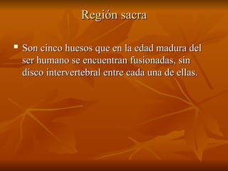Región sacra
Región sacra

Son cinco huesos que en la edad madura del
Son cinco huesos que en la edad madura del
ser humano se encuentran fusionadas, sin
ser humano se encuentran fusionadas, sin
disco intervertebral entre cada una de ellas.
disco intervertebral entre cada una de ellas.
 