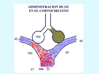 ADMINISTRACION DE O2
     EN EL CORTOCIRCUITO




            700
40
                            40


     700               40




       47         55
 