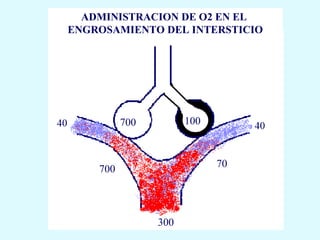 ADMINISTRACION DE O2 EN EL
ENGROSAMIENTO DEL INTERSTICIO




          700         100



                            70
    700




                300
 
