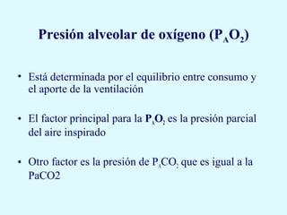 Presión alveolar de oxígeno (PAO2)

• Está determinada por el equilibrio entre consumo y
  el aporte de la ventilación

• El factor principal para la PAO2 es la presión parcial
  del aire inspirado

• Otro factor es la presión de PACO2 que es igual a la
  PaCO2
 