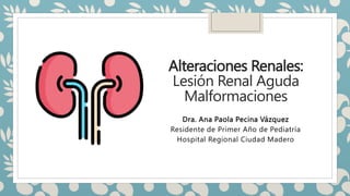 Alteraciones Renales:
Lesión Renal Aguda
Malformaciones
Dra. Ana Paola Pecina Vázquez
Residente de Primer Año de Pediatría
Hospital Regional Ciudad Madero
 