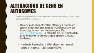 ALTERACIONS DE GENS EN
AUTOSOMES
• Són trastorns hereditaris que segueixen patrons mendelians, i que poden
ser dominants o recessius.
 Herència dominant: l’al·lel alterat és dominant
sobre el normal, per tant es manifesta tant en
homozigots com en heterozigots. Pex:
ACONDROPLÀSIA i la malaltia de HUNTINGTON
(degeneració neurològia que apareix a edats
tardanes).
 Herència Recessiva: L’al·lel alterat és recessiu
sobre el normal. P.Ex: l’ALBINISME.
 