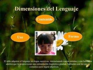 Dimensiones del Lenguaje Forma Contenido Uso El niño adquiere el lenguaje en etapas sucesivas, interactuando con su entorno y con hablantes adultos que le proporcionan una estimulación lingüística gradual, hablantes con los que se comunica para lograr objetivos.  