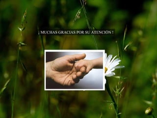 ¡ MUCHAS GRACIAS POR SU ATENCIÓN ! 