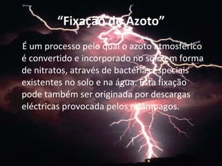 “ Fixação do Azoto” É um processo pelo qual o azoto atmosférico é convertido e incorporado no solo em forma de nitratos, através de bactérias especiais existentes no solo e na água. Esta fixação pode também ser originada por descargas eléctricas provocada pelos relâmpagos. 
