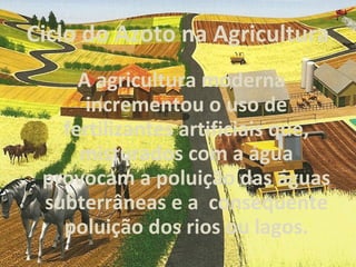 Ciclo do Azoto na Agricultura A agricultura moderna incrementou o uso de fertilizantes artificiais que, misturados com a água provocam a poluição das águas subterrâneas e a  consequente poluição dos rios ou lagos. 