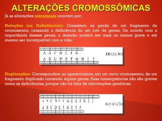 Já as alterações estruturais ocorrem por:
Deleções (ou Deficiências): Consistem na perda de um fragmento do
cromossomo, causando a deficiência de um lote de genes. De acordo com a
importância desses genes, a deleção poderá ser mais ou menos grave e até
mesmo ser incompatível com a vida.
Duplicações: Correspondem ao aparecimento, em um certo cromossomo, de um
fragmento duplicado contendo alguns genes. Suas consequências não são graves
como as deficiências, porque não há falta de informações genéticas.
ALTERAÇÕES CROMOSSÔMICASALTERAÇÕES CROMOSSÔMICAS
 