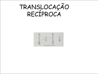 TRANSLOCAÇÃO
RECÍPROCA
 