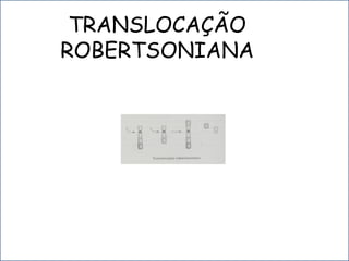 TRANSLOCAÇÃO
ROBERTSONIANA
 