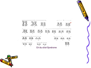 Alteracoes cromossomicas estruturais e numericas