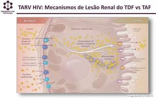 TARV HIV: Mecanismos de Lesão Renal do TDF vs TAF
 