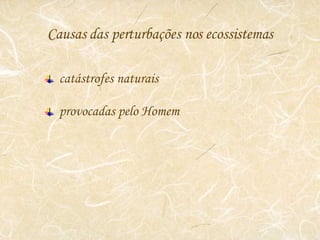 Causas das perturbações nos ecossistemas catástrofes naturais provocadas pelo Homem 