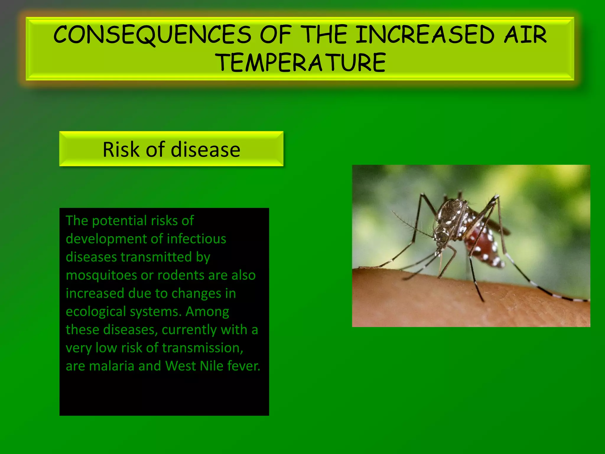 CONSEQUENCES OF THE INCREASED AIR
         TEMPERATURE


     Risk of disease

The potential risks of
development of infectious
diseases transmitted by
mosquitoes or rodents are also
increased due to changes in
ecological systems. Among
these diseases, currently with a
very low risk of transmission,
are malaria and West Nile fever.
 