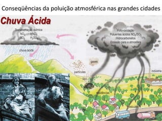 Conseqüências da poluição atmosférica nas grandes cidades
 