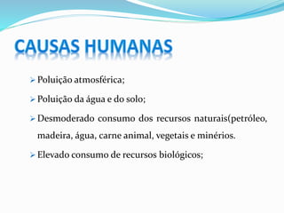  Poluição atmosférica;
 Poluição da água e do solo;
 Desmoderado consumo dos recursos naturais(petróleo,
madeira, água, carne animal, vegetais e minérios.
 Elevado consumo de recursos biológicos;
 
