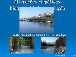 Alterações climáticas, biodiversidade e evolução Mata Nacional do Choupal vs. Rio Mondego Mª de Jesus  2009 