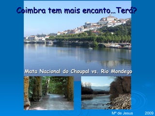 Coimbra tem mais encanto…Terá? Mata Nacional do Choupal vs. Rio Mondego Mª de Jesus  2009 