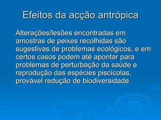 Efeitos da acção antrópica Alterações/lesões encontradas em amostras de peixes recolhidas são sugestivas de problemas ecológicos, e em certos casos podem até apontar para problemas de perturbação da saúde e reprodução das espécies piscícolas, provável redução de biodiversidade. 