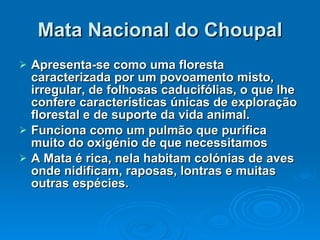 Mata Nacional do Choupal Apresenta-se como uma floresta caracterizada por um povoamento misto, irregular, de folhosas caducifólias, o que lhe confere características únicas de exploração florestal e de suporte da vida animal. Funciona como um pulmão que purifica muito do oxigénio de que necessitamos   A Mata é rica, nela habitam colónias de aves onde nidificam, raposas, lontras e muitas outras espécies.   