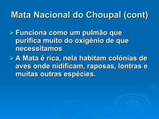 Mata Nacional do Choupal (cont) Funciona como um pulmão que purifica muito do oxigénio de que necessitamos   A Mata é rica, nela habitam colónias de aves onde nidificam, raposas, lontras e muitas outras espécies.   
