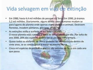 Vida selvagem em vias de extinçãoEm 1980, havia 4,4 mil milhões de pessoas na Terra. Em 1990, já éramos 5,2 mil milhões. Diariamente, alguns destes seres humanos mudam se para lugares do planeta onde apenas vivem plantas e animais. Destroem florestas, invadem pântanos, glaciares, pradarias.As extinções estão a acelerar se em todo o mundo.O nosso planeta está a perder à volta de três espécies por dia. Por volta do ano 2000, 20% das espécies podem ter se perdido para sempre.Quase todos os elefantes de África poderão ter desaparecido dentro de vinte anos, se os continuarem a matar ao mesmo ritmo.Cinco mil espécies de animais e plantas são extintas na Terra em cada ano que passa.