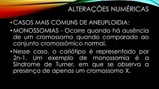 ALTERAÇÕES NUMÉRICAS
•CASOS MAIS COMUNS DE ANEUPLOIDIA:
•MONOSSOMIAS - Ocorre quando há ausência
de um cromossomo quando comparado ao
conjunto cromossômico normal.
•Nesse caso, o cariótipo é representado por
2n-1. Um exemplo de monossomia é a
Síndrome de Turner, em que se observa a
presença de apenas um cromossomo X.
 