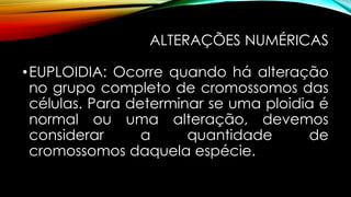 ALTERAÇÕES NUMÉRICAS
•EUPLOIDIA: Ocorre quando há alteração
no grupo completo de cromossomos das
células. Para determinar se uma ploidia é
normal ou uma alteração, devemos
considerar a quantidade de
cromossomos daquela espécie.
 