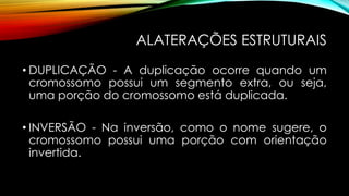 ALATERAÇÕES ESTRUTURAIS
• DUPLICAÇÃO - A duplicação ocorre quando um
cromossomo possui um segmento extra, ou seja,
uma porção do cromossomo está duplicada.
• INVERSÃO - Na inversão, como o nome sugere, o
cromossomo possui uma porção com orientação
invertida.
 