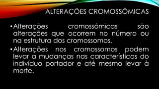 ALTERAÇÕES CROMOSSÔMICAS
•Alterações cromossômicas são
alterações que ocorrem no número ou
na estrutura dos cromossomos.
•Alterações nos cromossomos podem
levar a mudanças nas características do
indivíduo portador e até mesmo levar à
morte.
 