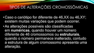 TIPOS DE ALTERAÇÕES CROMOSSÔMICAS
•Caso o cariótipo for diferente de 46,XX ou 46,XY;
existem muitas variações que podem ocorrer.
•As alterações possíveis são classificadas
em numéricas, quando houver um número
diferente de 46 cromossomos ou estruturais,
quando o número permanece inalterado, contudo
a estrutura de algum cromossomo apresenta uma
alteração.
 