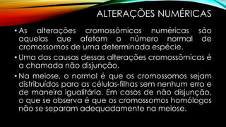 ALTERAÇÕES NUMÉRICAS
• As alterações cromossômicas numéricas são
aquelas que afetam o número normal de
cromossomos de uma determinada espécie.
• Uma das causas dessas alterações cromossômicas é
a chamada não disjunção.
• Na meiose, o normal é que os cromossomos sejam
distribuídos para as células-filhas sem nenhum erro e
de maneira igualitária. Em casos de não disjunção,
o que se observa é que os cromossomos homólogos
não se separam adequadamente na meiose.
 