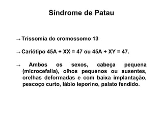 Síndrome de Patau
→ Trissomia do cromossomo 13
→ Cariótipo 45A + XX = 47 ou 45A + XY = 47.
→ Ambos os sexos, cabeça pequena
(microcefalia), olhos pequenos ou ausentes,
orelhas deformadas e com baixa implantação,
pescoço curto, lábio leporino, palato fendido.
 