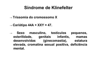 Síndrome de Klinefelter
→ Trissomia do cromossomo X
→ Cariótipo 44A + XXY = 47.
→ Sexo masculino, testículos pequenos,
esterilidade, genitais infantis, mamas
desenvolvidas (ginecomastia), estatura
elevada, cromatina sexual positiva, deficiência
mental.
 