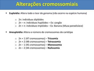  Euploidia: Altera todo o teor do genoma (não ocorre na espécie humana)
o 2n: indivíduos diplóides
o 2n – n: indivíduos haplóides – Ex: zangão
o 2n + n: indivíduos triplóides – Ex: Banana (Musa paradisíaca)
 Aneuploidia: Altera o número de cromossomos do cariótipo
o 2n + 1 (47 cromossomos) – Trissomia
o 2n + 2 (48 cromossomos) – Tetrassomia
o 2n – 1 (45 cromossomos) – Monossomia
o 2n – 2 (44 cromossomos) – Nulissomia
Alterações cromossomiais
 