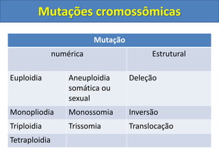 Mutação
numérica Estrutural
Euploidia Aneuploidia
somática ou
sexual
Deleção
Monopliodia Monossomia Inversão
Triploidia Trissomia Translocação
Tetraploidia
Mutações cromossômicas
 