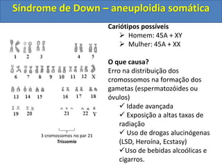 3 cromossomos no par 21
Trissomia
Cariótipos possíveis
 Homem: 45A + XY
 Mulher: 45A + XX
O que causa?
Erro na distribuição dos
cromossomos na formação dos
gametas (espermatozóides ou
óvulos)
 Idade avançada
 Exposição a altas taxas de
radiação
 Uso de drogas alucinógenas
(LSD, Heroína, Ecstasy)
Uso de bebidas alcoólicas e
cigarros.
Síndrome de Down – aneuploidia somática
 