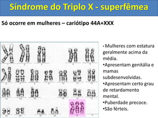 Só ocorre em mulheres – cariótipo 44A+XXX
• Mulheres com estatura
geralmente acima da
média.
•Apresentam genitália e
mamas
subdesenvolvidas.
•Apresentam certo grau
de retardamento
mental.
•Puberdade precoce.
•São férteis.
Síndrome do Triplo X - superfêmea
 