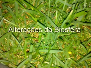 Alterações da Biosfera  