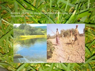 Biosfera : parte do planeta habitada pelos seres vivos e respectivos habitats 