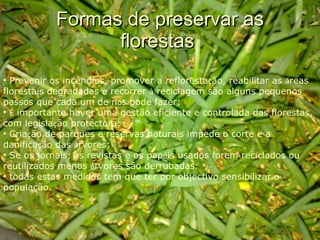 Formas de preservar as florestas  Prevenir os incêndios, promover a refloresta ç ão, reabilitar as  á reas florestais degradadas e recorrer  à  reciclagem são alguns pequenos passos que cada um de n ó s pode fazer; É  importante haver uma gestão eficiente e controlada das florestas, com legisla ç ão protectora; Cria ç ão de parques e reservas naturais impede o corte e a danifica ç ão das  á rvores; Se os jornais, as revistas e os pap é is usados forem reciclados ou reutilizados menos  á rvores são derrubadas. todas estas medidas tem que ter por objectivo sensibilizar a população. 