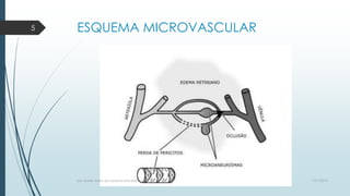 ESQUEMA MICROVASCULAR
7/21/2014por Anielly Meira de Lacerda Macêdo
5
 