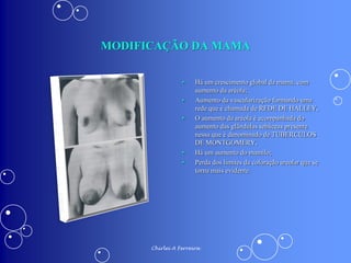 ALTERAÇÕES FISIOLÓGICAS DA GRAVIDEZ