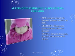 ALTERAÇÕES FISIOLÓGICAS DA GRAVIDEZ
