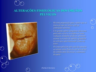 ALTERAÇÕES FISIOLÓGICAS DA GRAVIDEZ