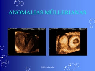 ALTERAÇÕES FISIOLÓGICAS DA GRAVIDEZ