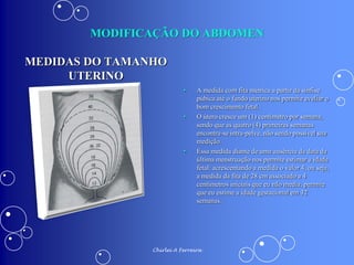 ALTERAÇÕES FISIOLÓGICAS DA GRAVIDEZ | PDF
